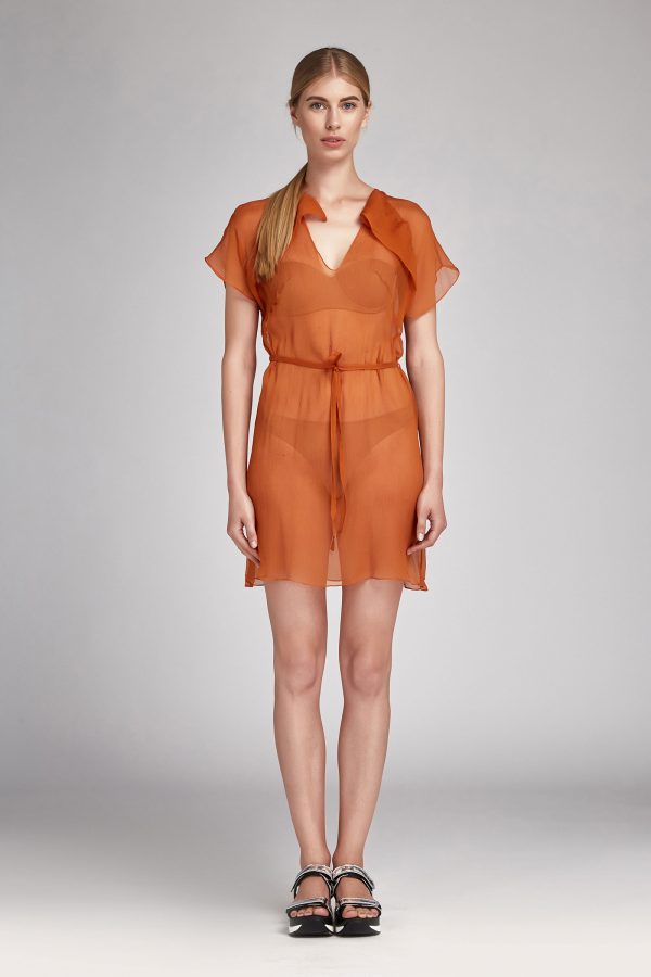 orange-bud-01